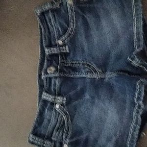 Silver Tuesday shorts sz 27/L3